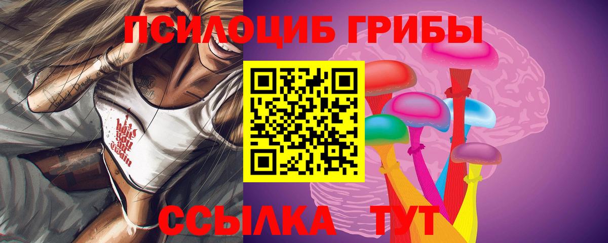 Псилоцибиновые грибы Psilocybine cubensis Долгопрудный