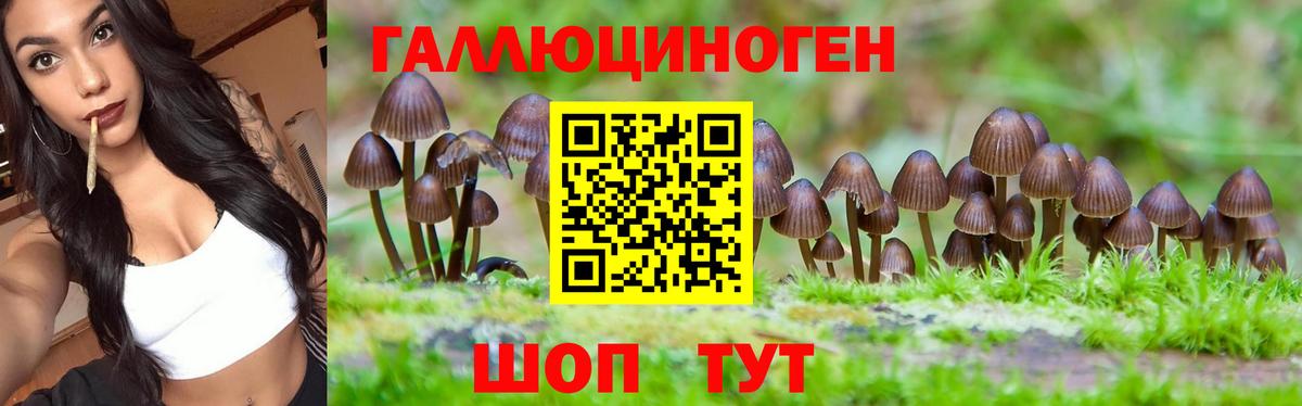 Галлюциногенные грибы Magic Shrooms  Вход с VPN  где купить наркоту  Галлюциногенные грибы MAGIC MUSHROOMS  Долгопрудный 